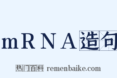 mRNA造句是什么意思的图片